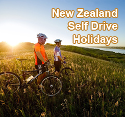 New Zealand Offers