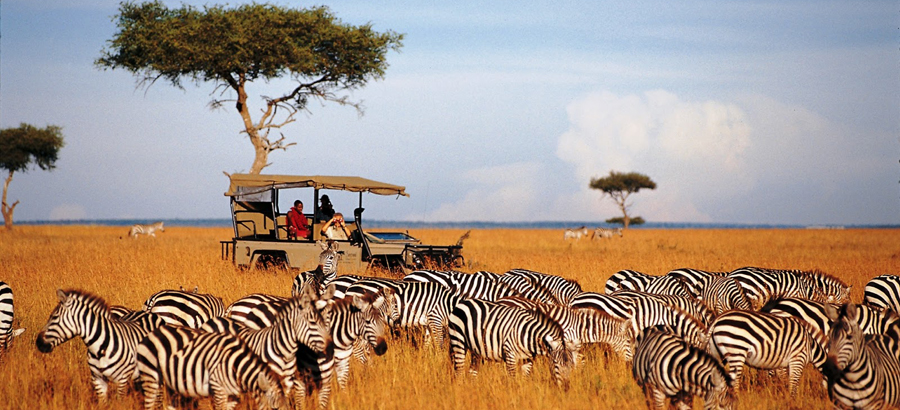 Highlights Of Tanzania