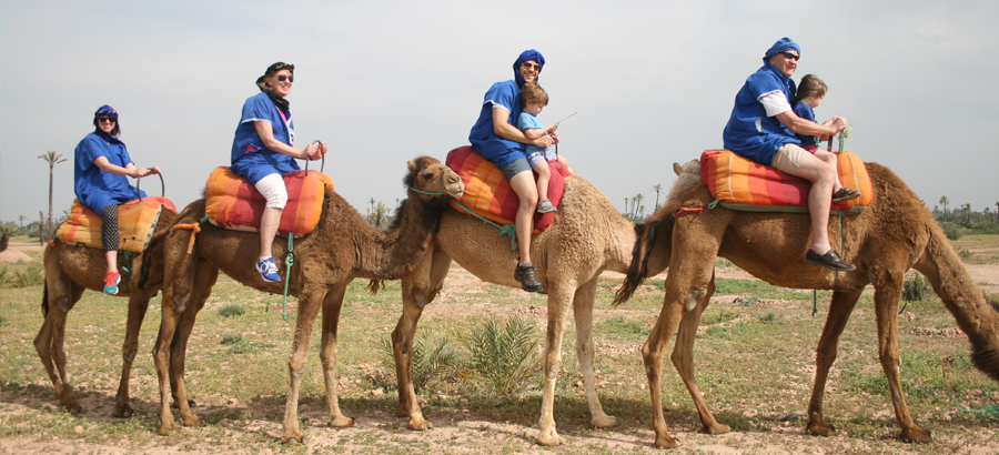 Casablanca And Fez Tour