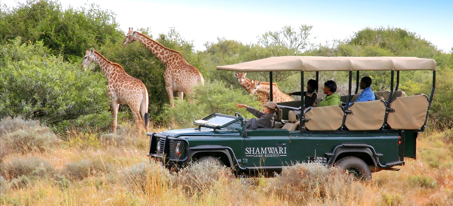 Taste Of South Africa