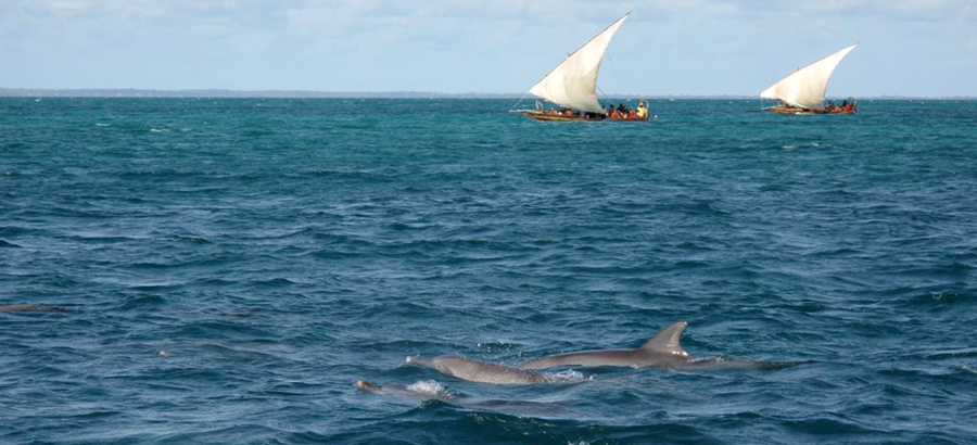 Zanzibar Island Tour